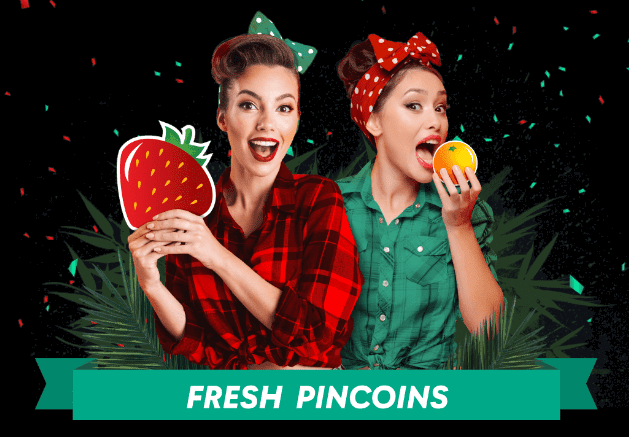 pin up login